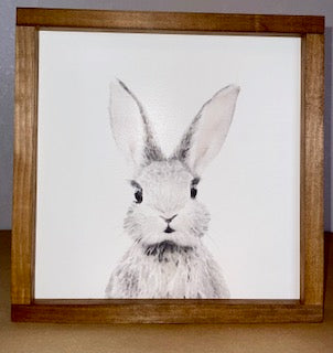 Lily and Sparrow – Jenna Kays Place