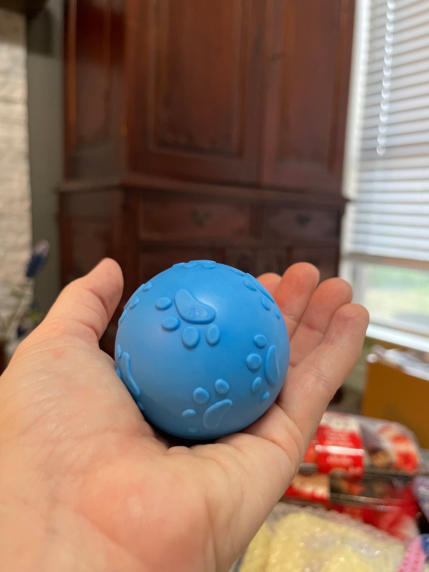 Blue Squeaker Ball