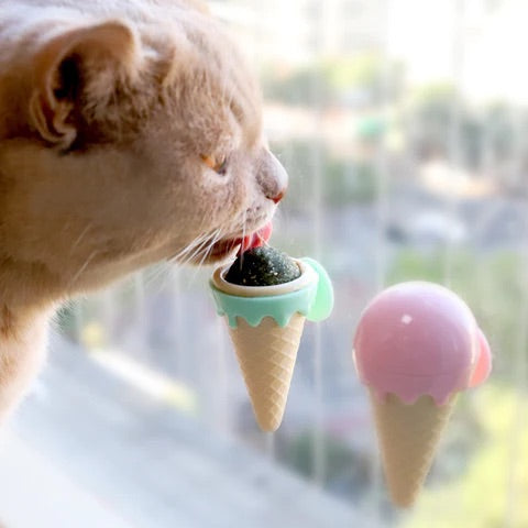 Catnip Ice Cream Cone Cat Toy