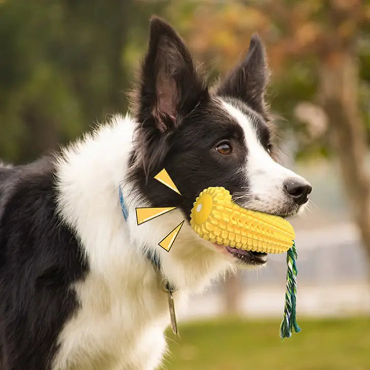 Yellow Corn Chew Toy for Dogs