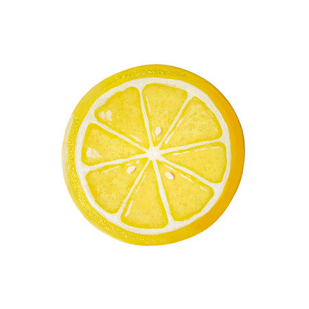 Lemon Magnet by The Round Top Collection