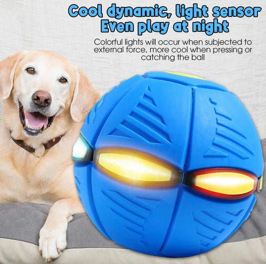 Flying Saucer Ball Dog Toy