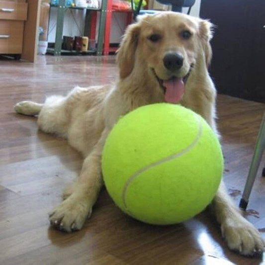 Jumbo Tennis Ball Dog Toy